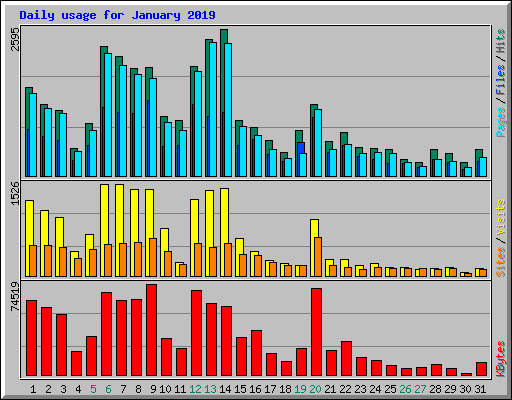 Daily usage for January 2019