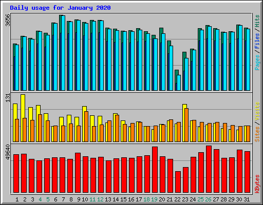 Daily usage for January 2020
