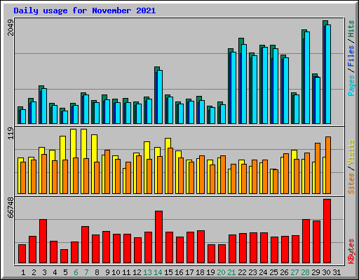 Daily usage for November 2021