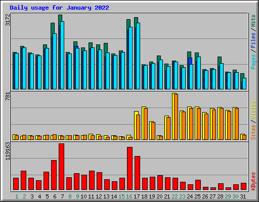 Daily usage for January 2022