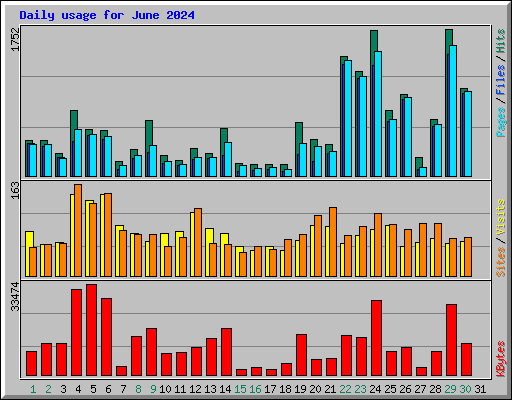 Daily usage for June 2024