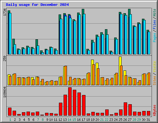 Daily usage for December 2024
