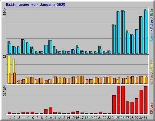 Daily usage for January 2025