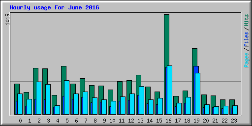 Hourly usage for June 2016