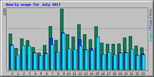 Hourly usage for July 2017