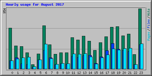 Hourly usage for August 2017