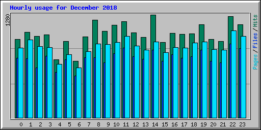 Hourly usage for December 2018
