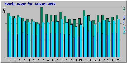 Hourly usage for January 2019