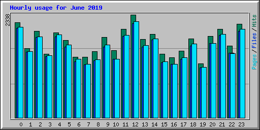 Hourly usage for June 2019