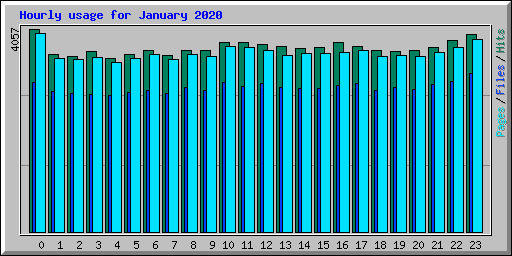 Hourly usage for January 2020
