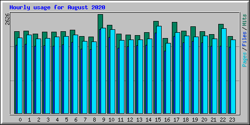 Hourly usage for August 2020