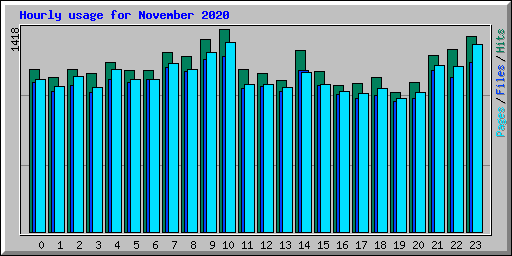 Hourly usage for November 2020