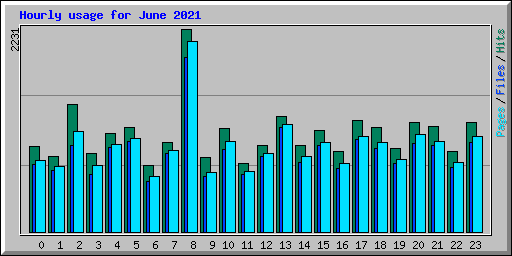 Hourly usage for June 2021