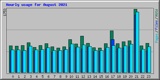 Hourly usage for August 2021