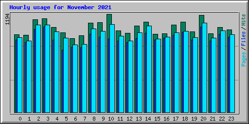 Hourly usage for November 2021