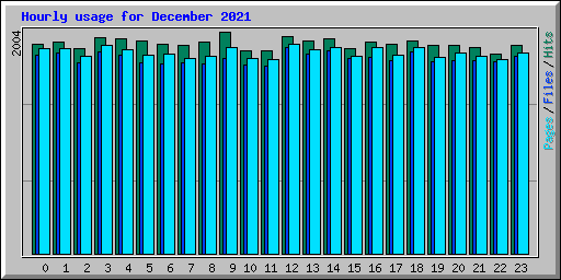 Hourly usage for December 2021