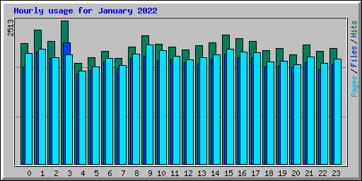 Hourly usage for January 2022