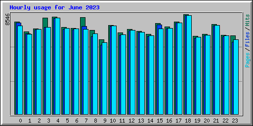 Hourly usage for June 2023