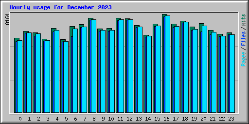 Hourly usage for December 2023