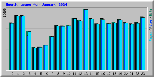Hourly usage for January 2024