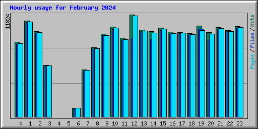 Hourly usage for February 2024
