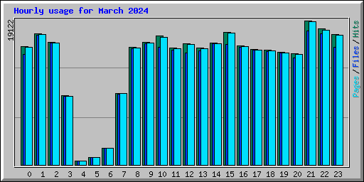 Hourly usage for March 2024
