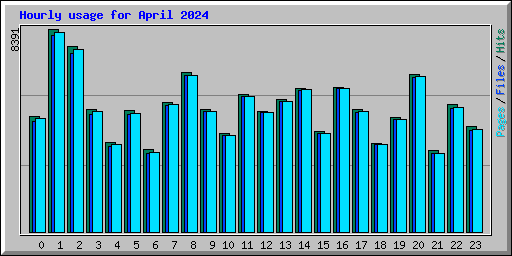 Hourly usage for April 2024