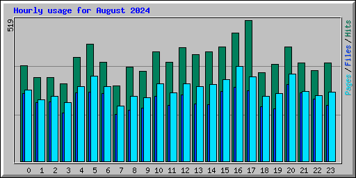 Hourly usage for August 2024