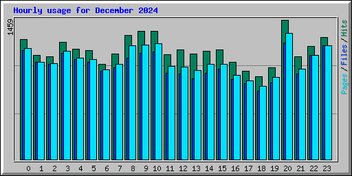 Hourly usage for December 2024