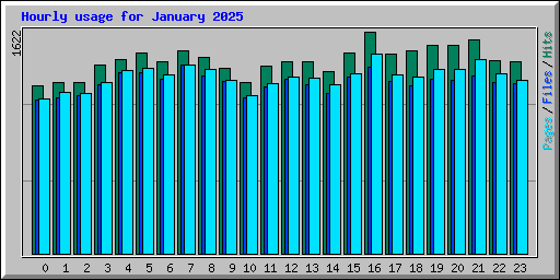 Hourly usage for January 2025