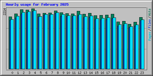Hourly usage for February 2025