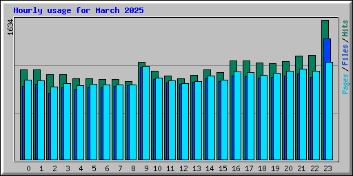 Hourly usage for March 2025
