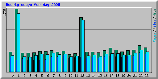 Hourly usage for May 2025