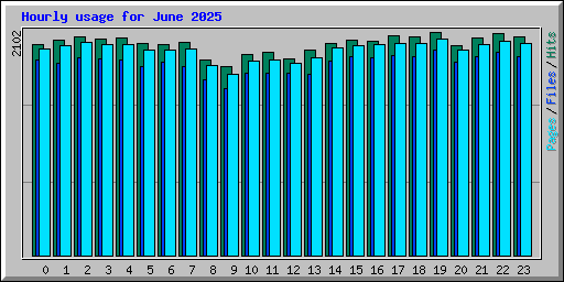 Hourly usage for June 2025