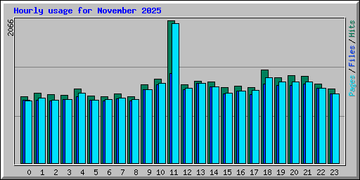 Hourly usage for November 2025
