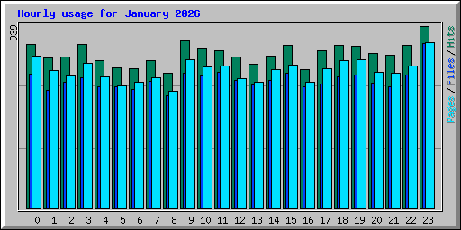 Hourly usage for January 2026
