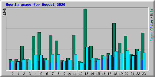 Hourly usage for August 2026